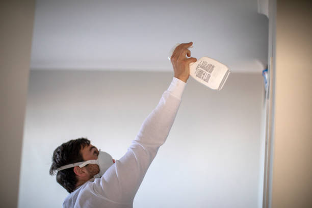 Best Office Mold Removal Services  in Beaver, UT