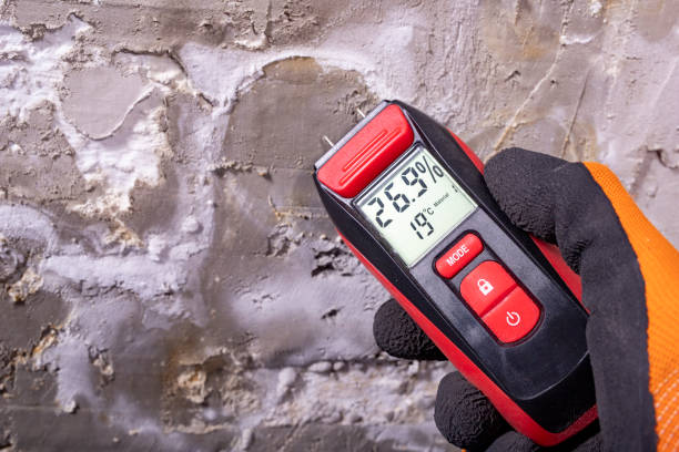 Best Emergency Mold Removal  in Beaver, UT