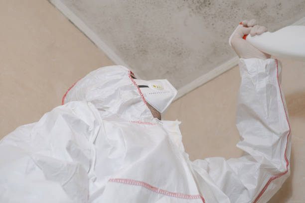 Best Certified Mold Removal  in Beaver, UT