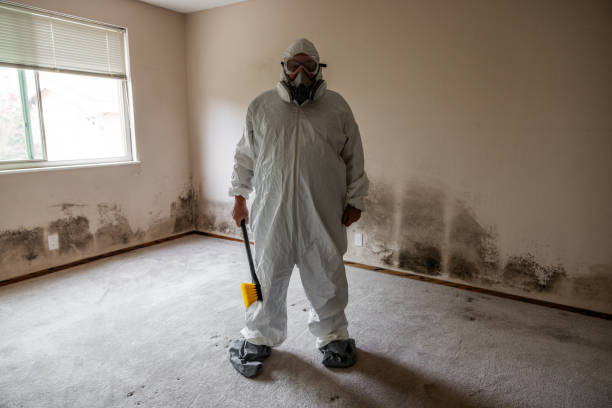 Best Mold Testing  in Beaver, UT